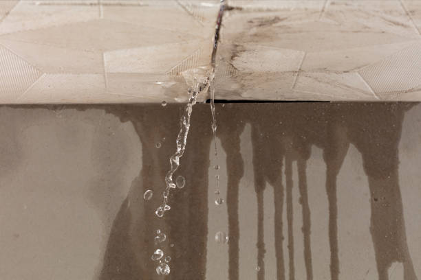 Professional Structural Drying technician working in Buckholts, TX